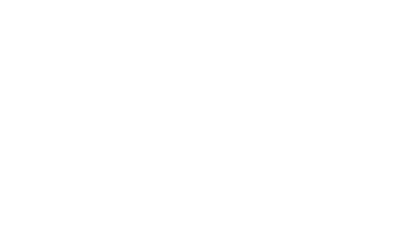 Express Wash theme preview